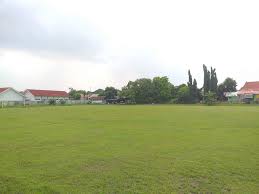 Olahraga bola