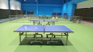 Tenis meja